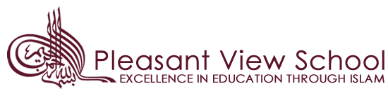 Pleasant View School